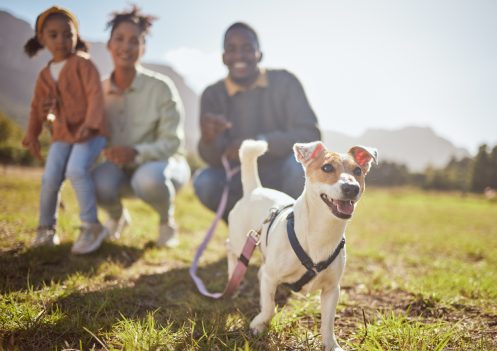 Happy family outside with their dog